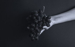 Hand holding bunch of grapes