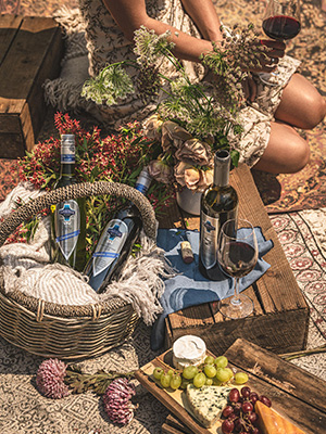Picnic setting with bottles of Ivanhoe wines and cheese
