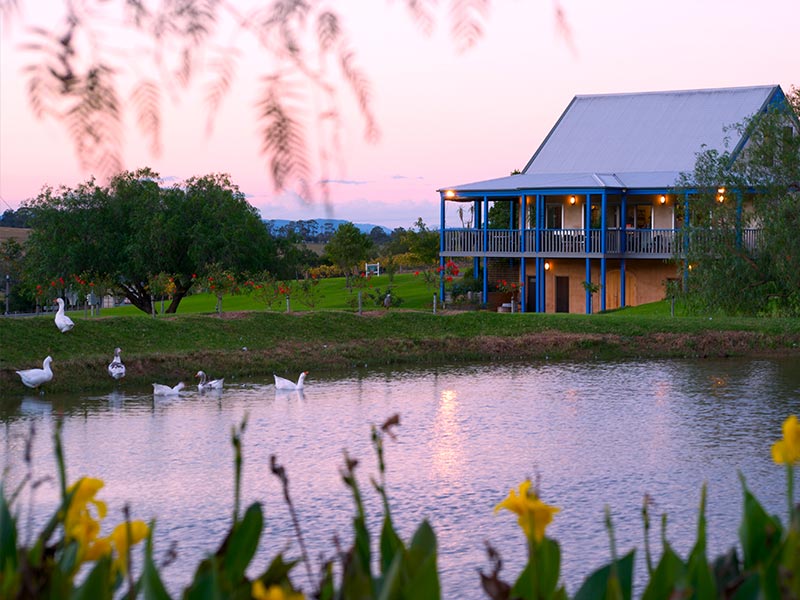 Ivanhoe Wines Hunter Valley Winery Premium Hunter Wine