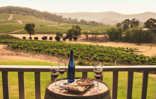 Wine Tasting on the deck at Ivanhoe Wines, Hunter Valley NSW